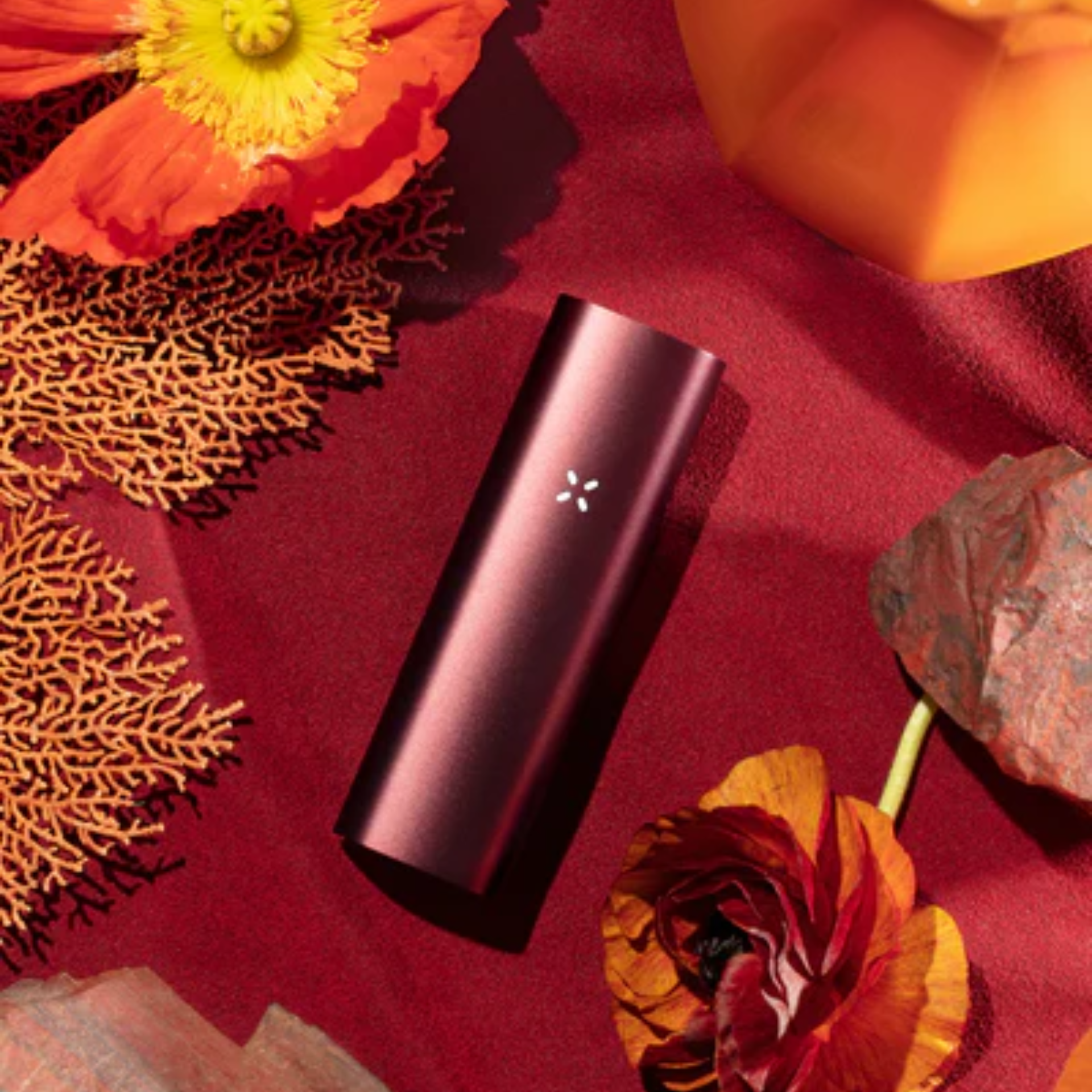 PAX 3 Burgundy Complete Kit