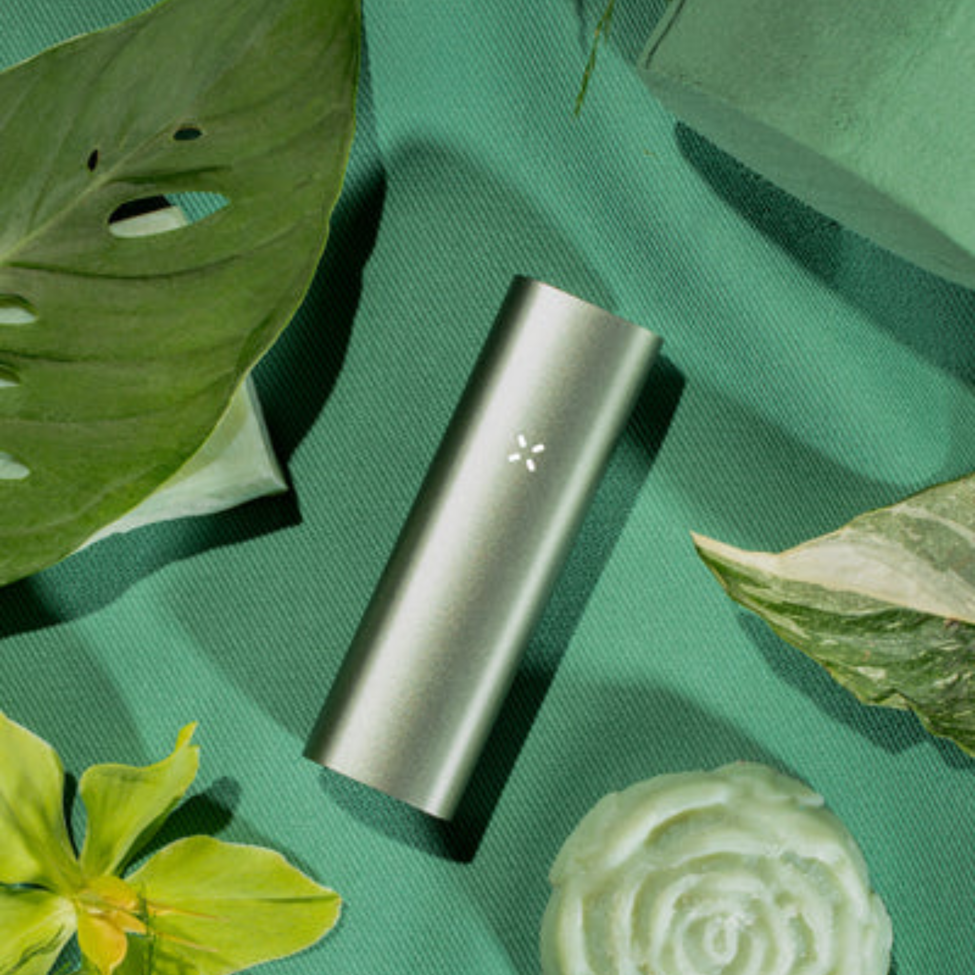 PAX 3 Sage Complete Kit