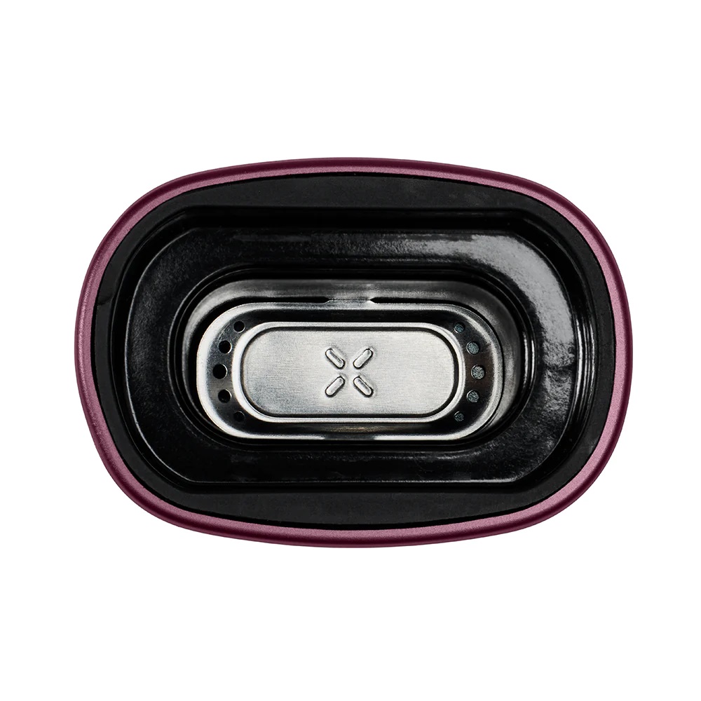 PAX PLUS ELDERBERRY