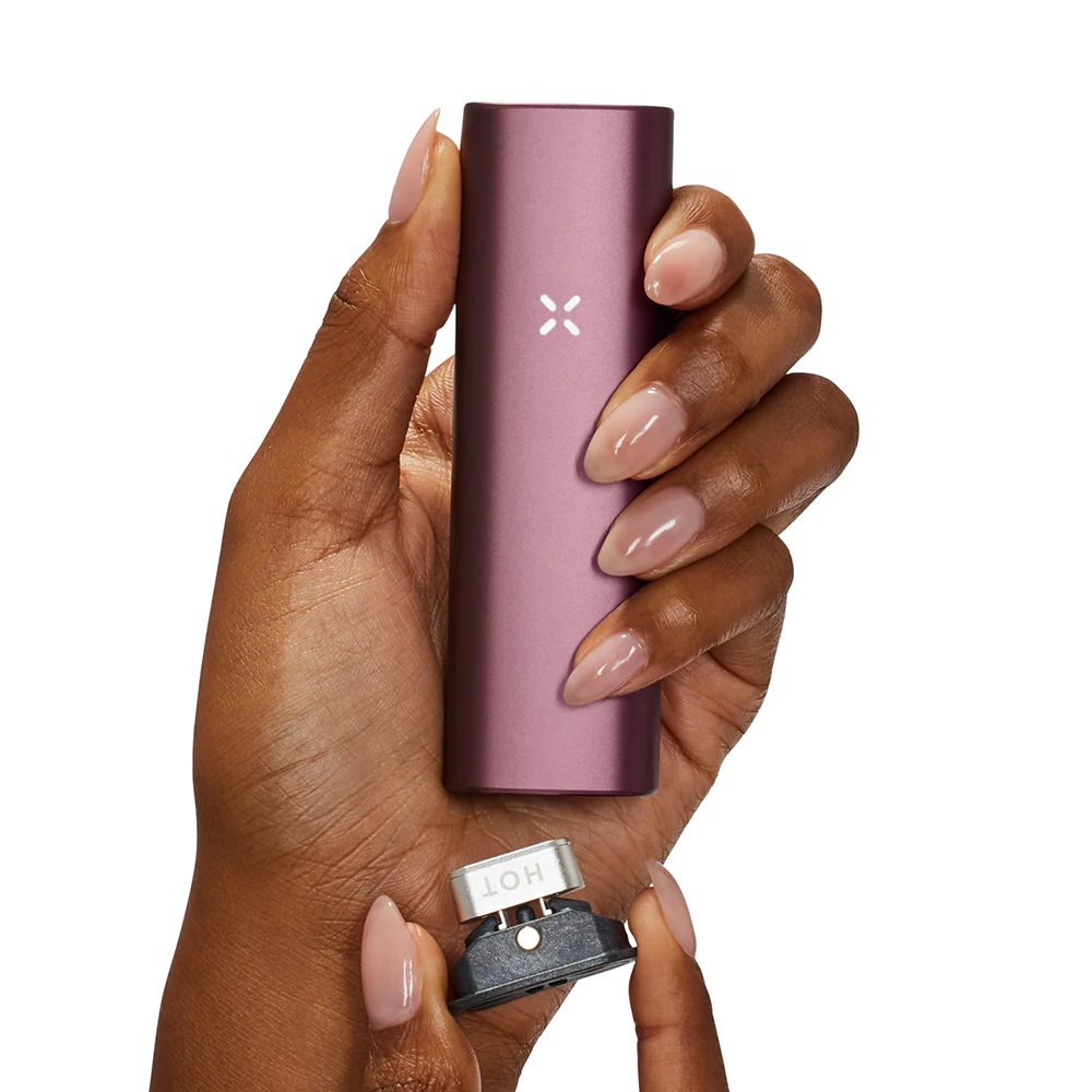 PAX PLUS ELDERBERRY