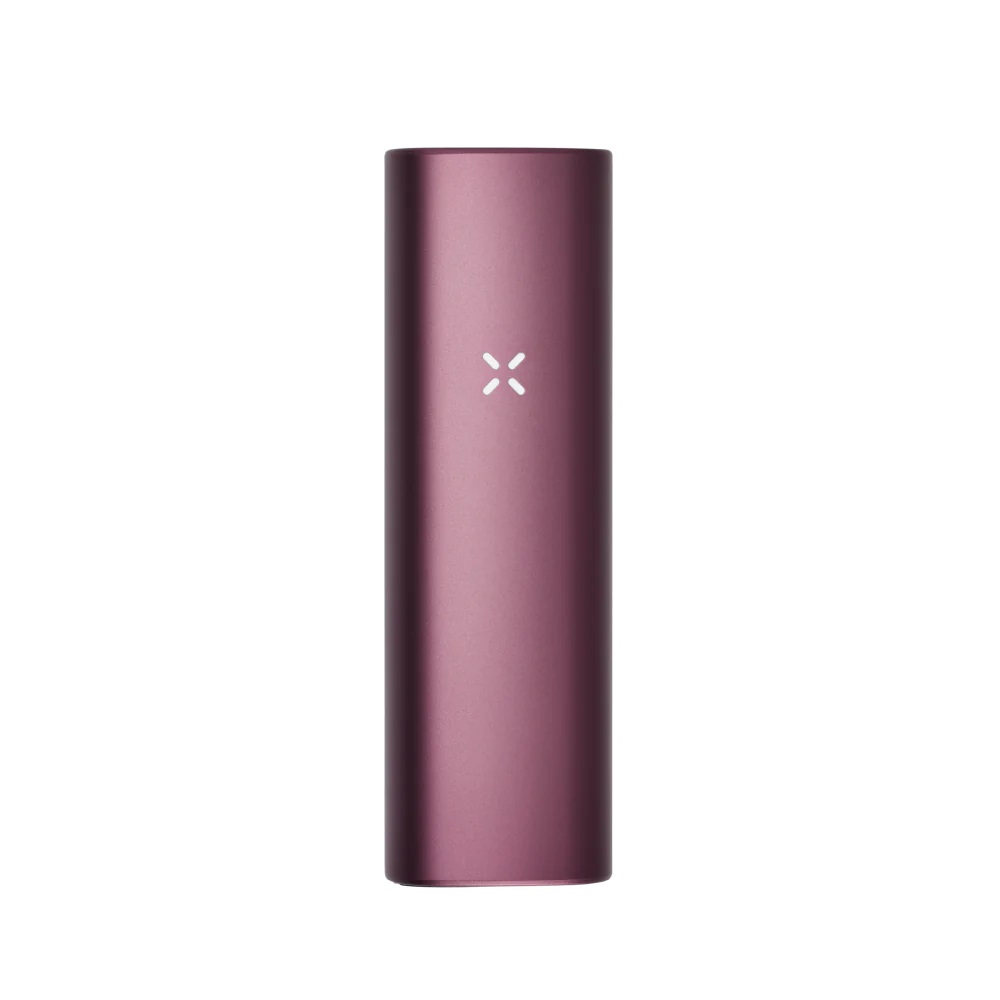 PAX PLUS ELDERBERRY