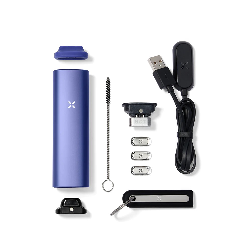 PAX PLUS PERWINKLE