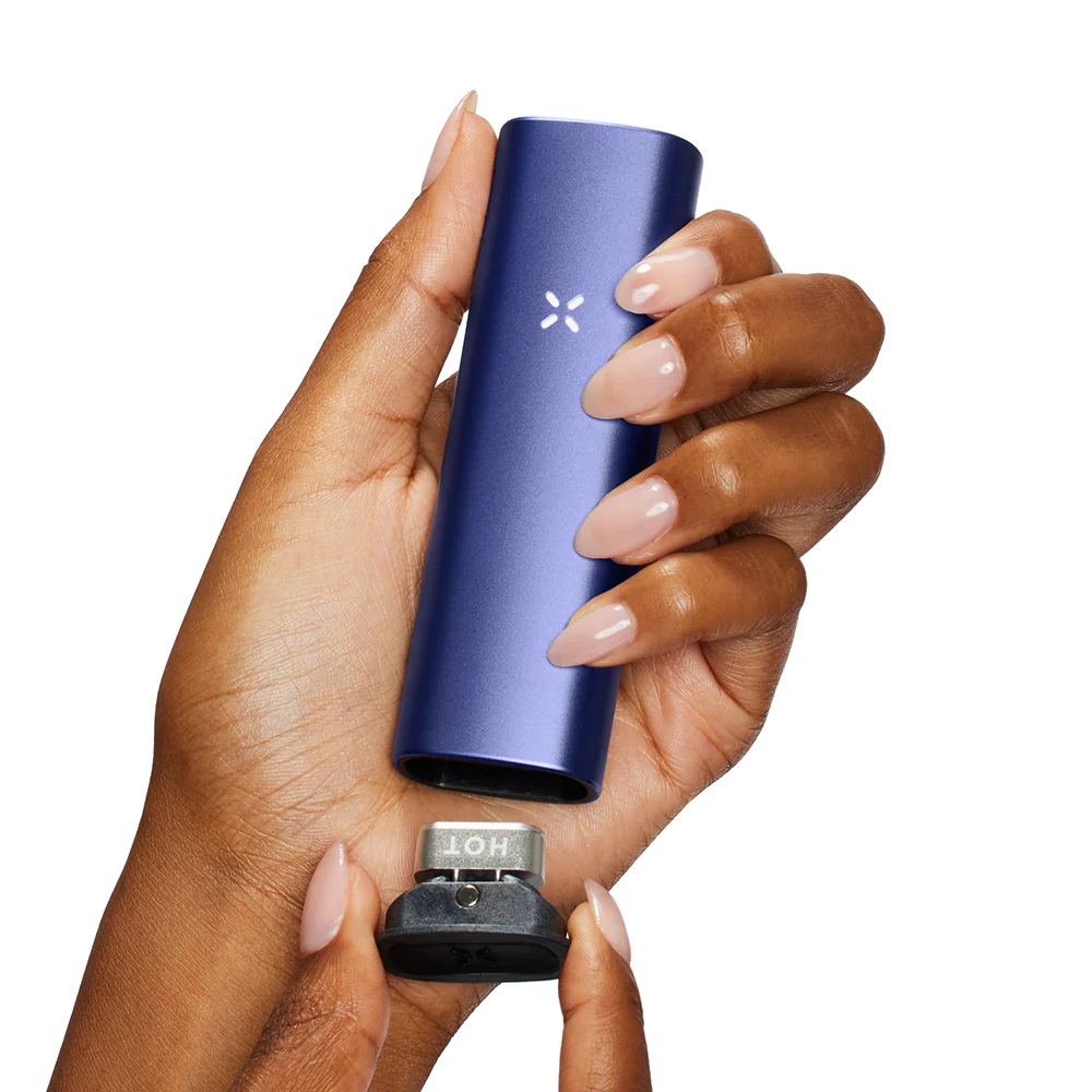 PAX PLUS PERWINKLE