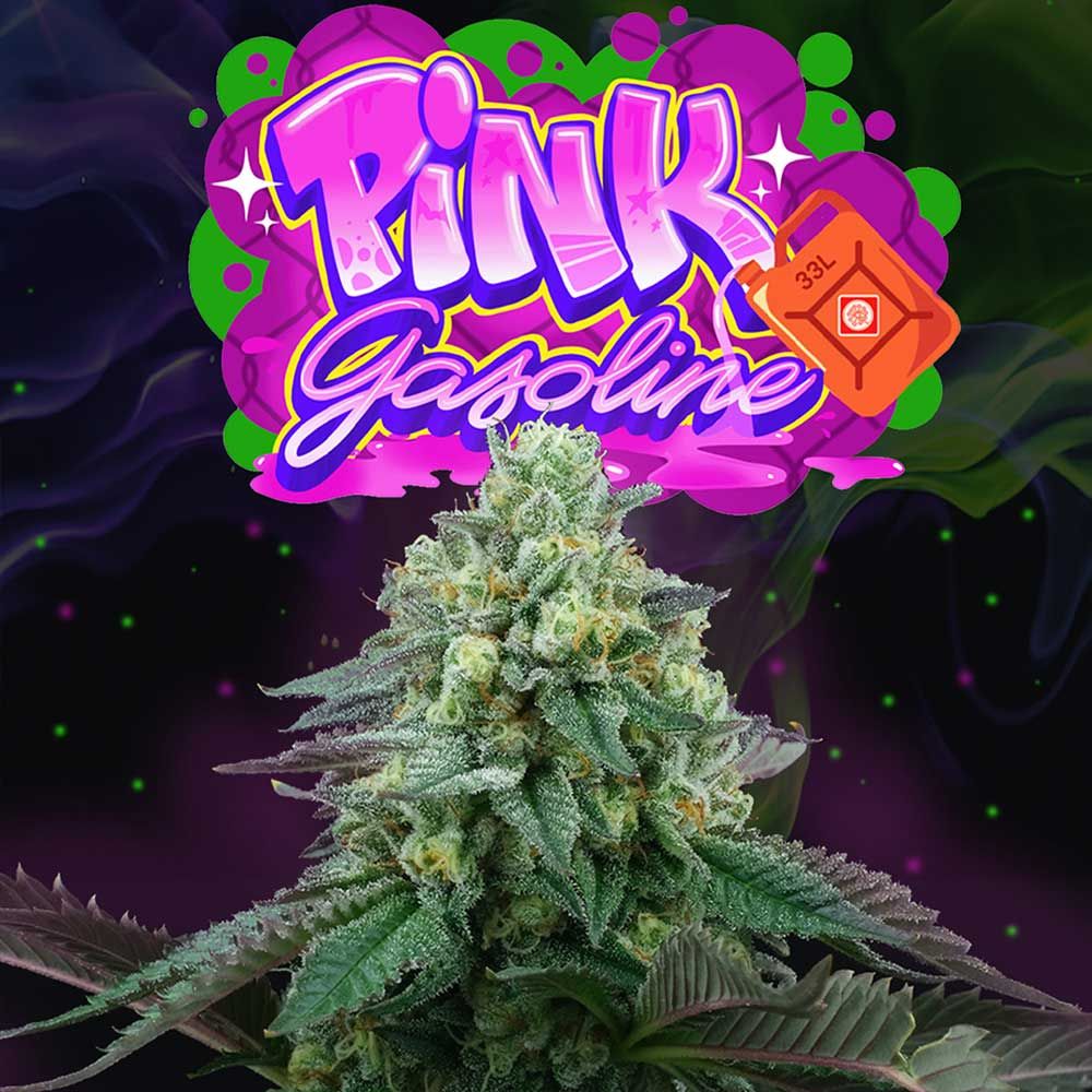 SEA OF GREEN - PINK GASOLINE
