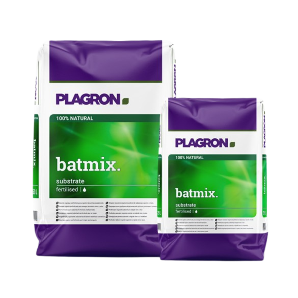 SEA OF GREEN - PLAGRON