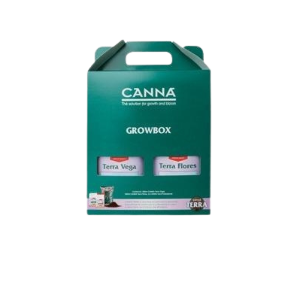 SEA OF GREEN - CANNA