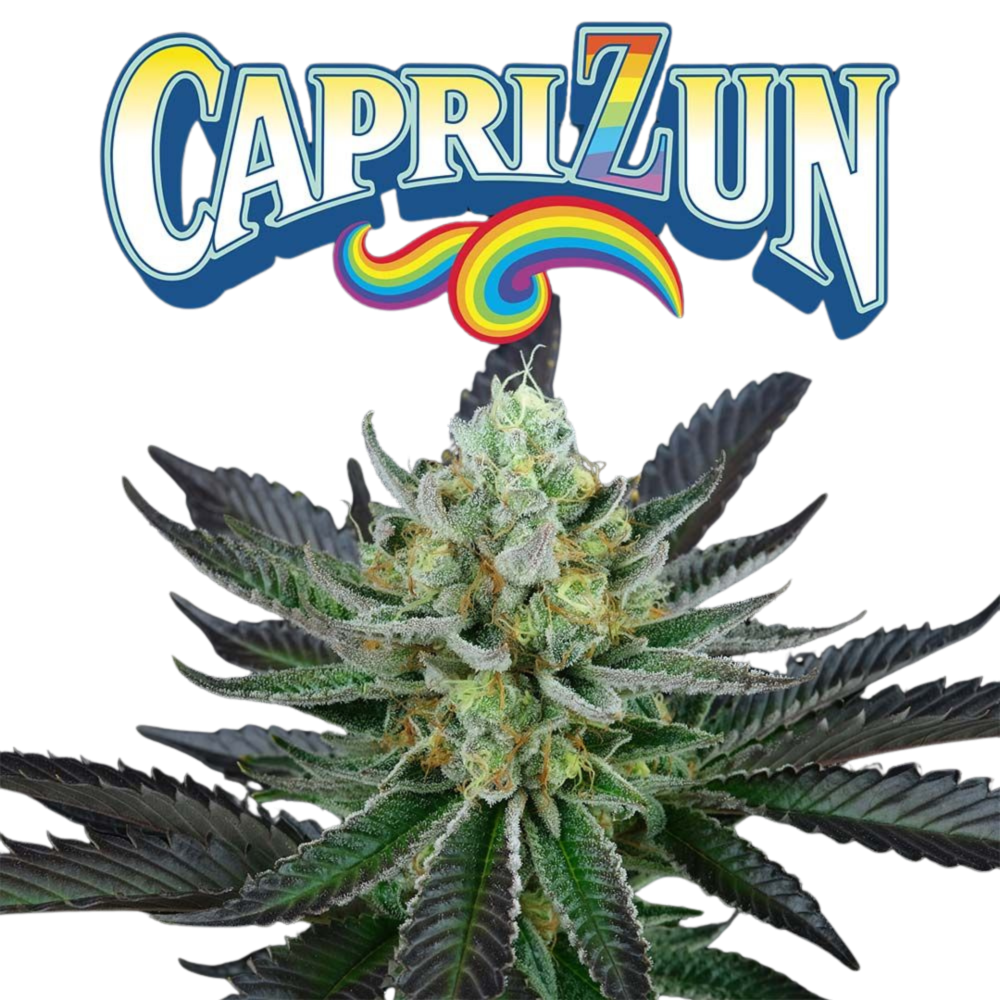 SEA OF GREEN - PERFECT TREE