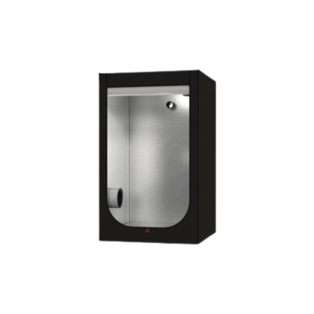 SEA OF GREEN - SECRET JARDIN