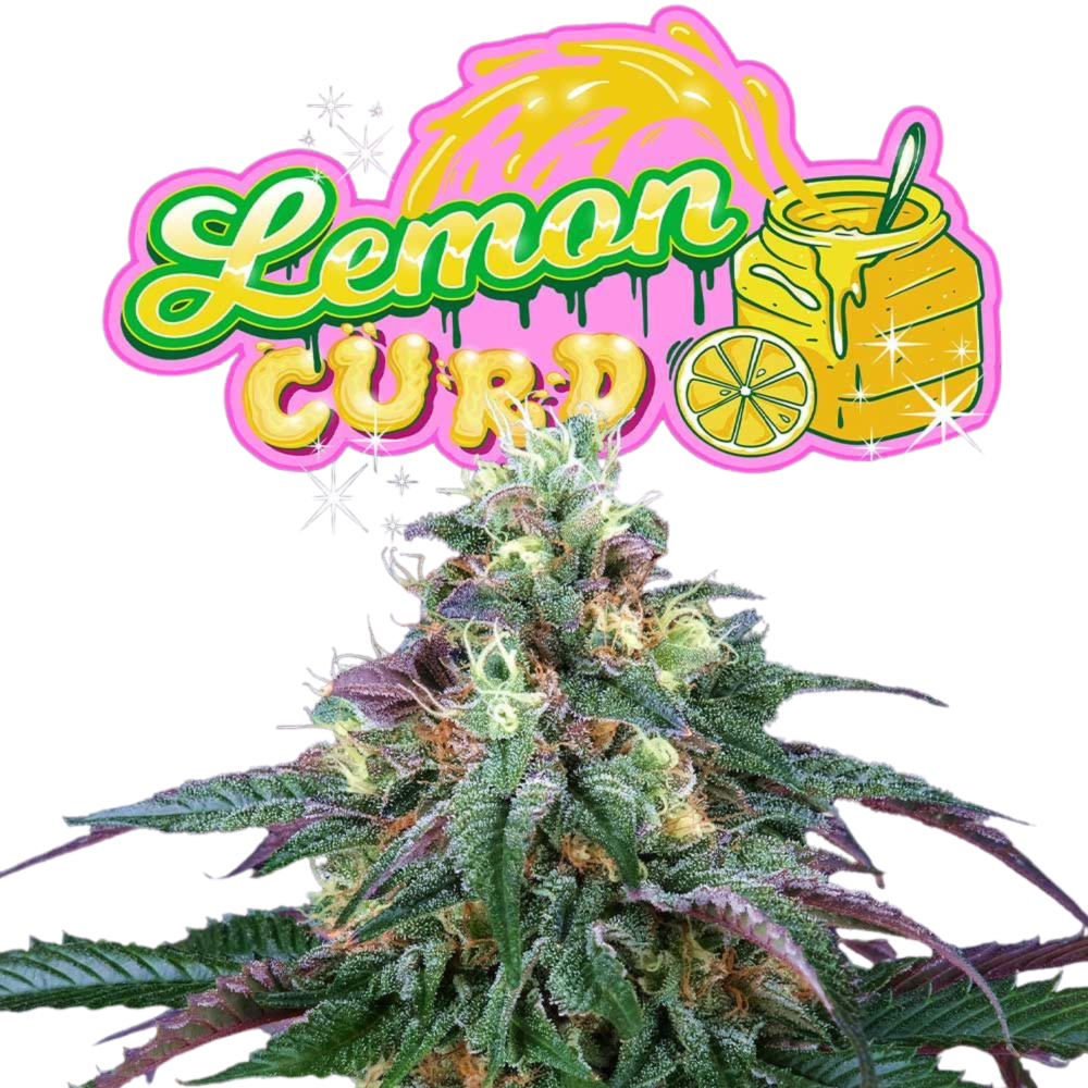 SEA OF GREEN - PERFECT TREE