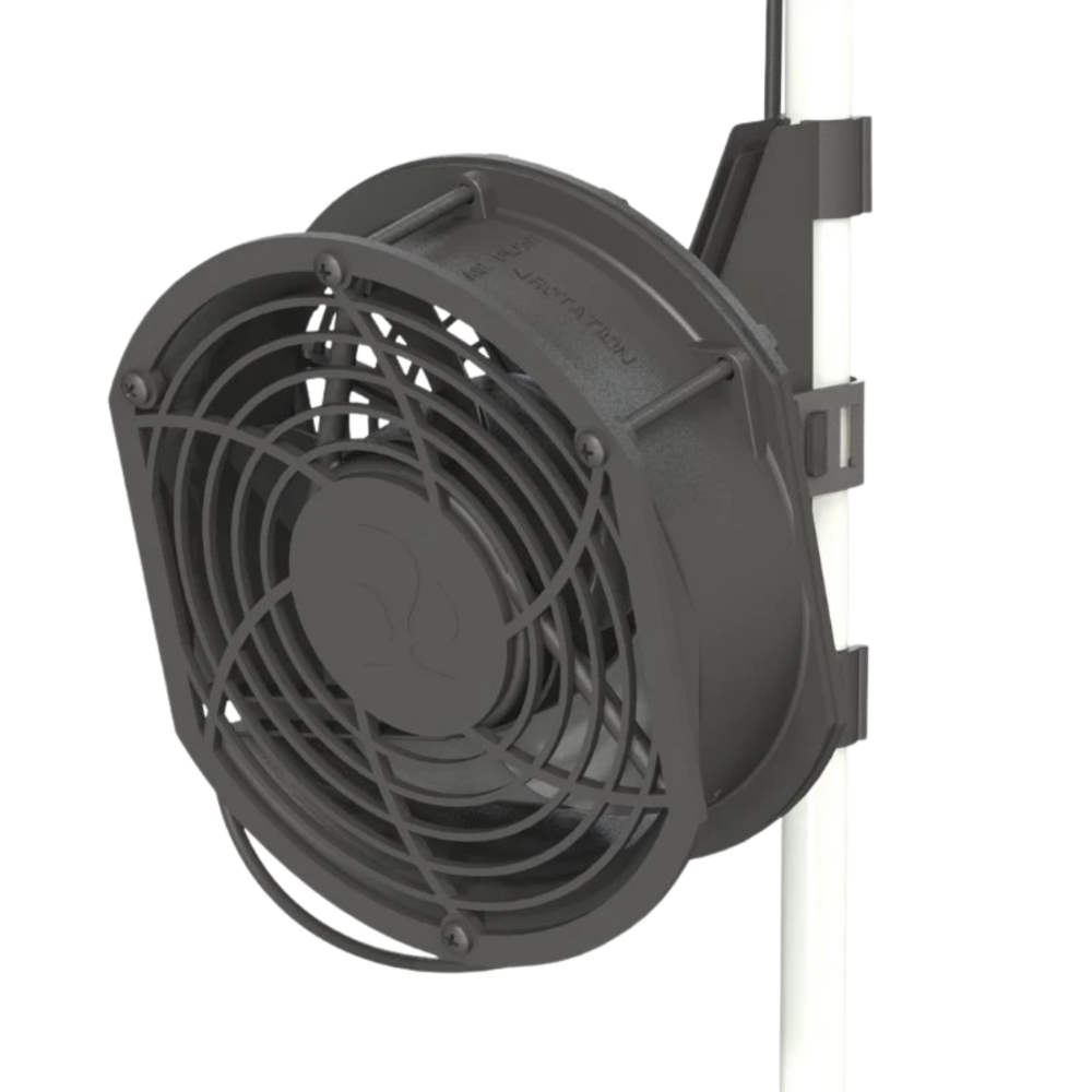 SEA OF GREEN - SECRET JARDIN