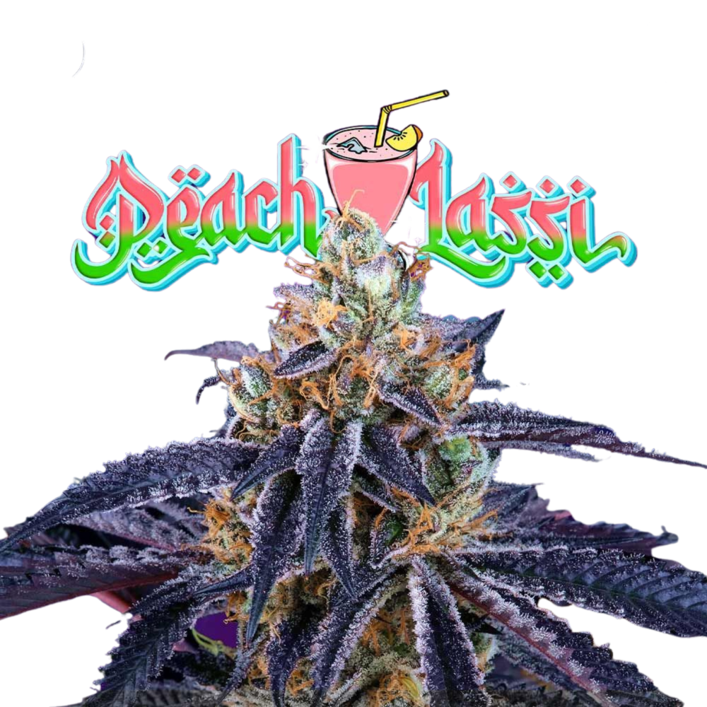 SEA OF GREEN - PERFECT TREE