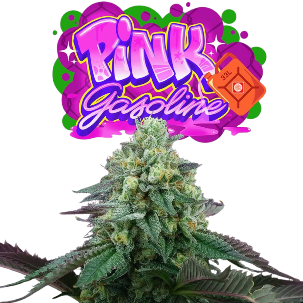 SEA OF GREEN - PERFECT TREE