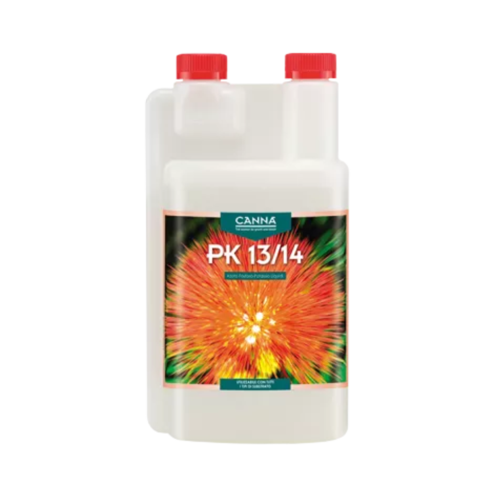 SEA OF GREEN - CANNA