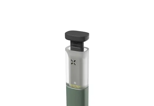 SEA OF GREEN - PAX