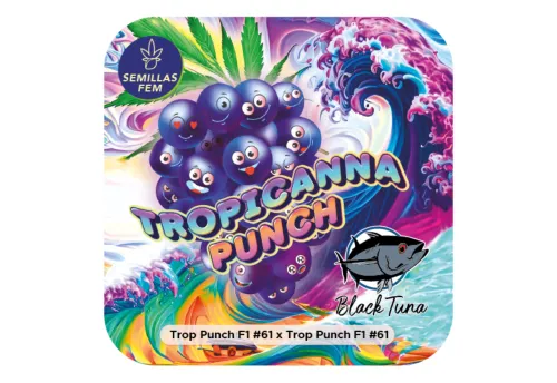 SEA OF GREEN - BLACK TUNA SEEDS