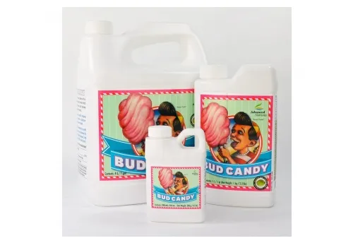 BUD CANDY