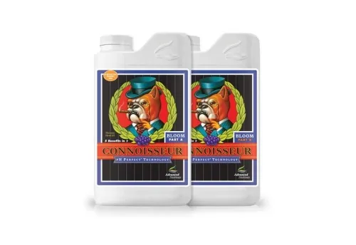 Connoisseur Bloom A