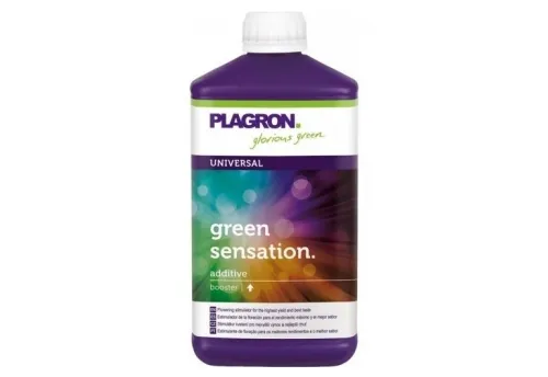 GREEN SENSATION